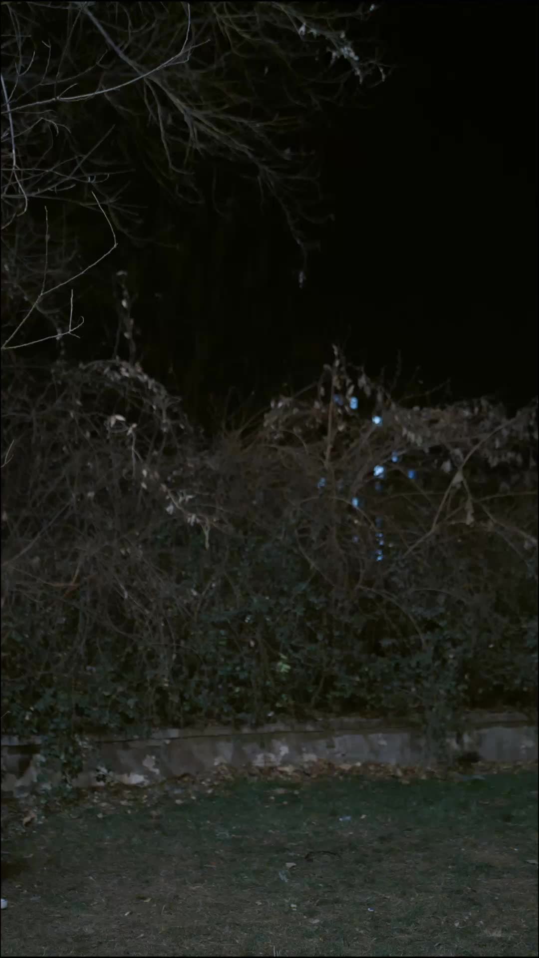 第25集